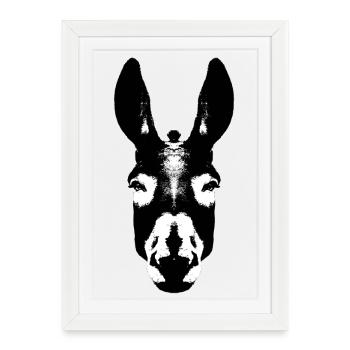 Âne / Tête - Affiche encadrée (27 × 37 cm) - blanc - Devant