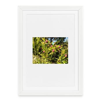 Design_floral - Affiche encadrée (27 × 37 cm) - blanc - Devant