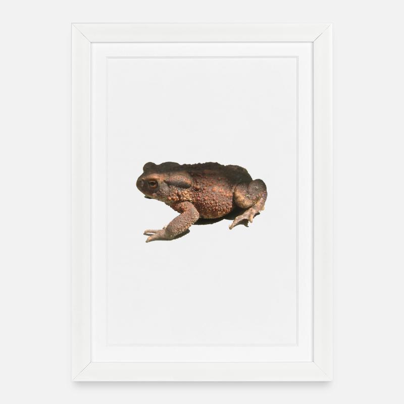crapaud - Affiche encadrée (27 × 37 cm) - blanc