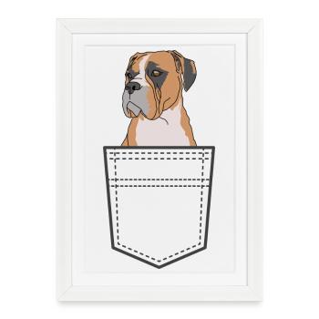 Boxer Chien Dans La Poche - Affiche encadrée (27 × 37 cm) - blanc - Devant