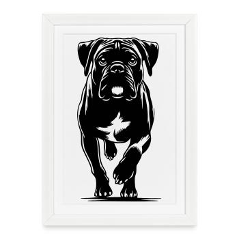 Boxeur - Affiche encadrée (27 × 37 cm) - blanc - Devant