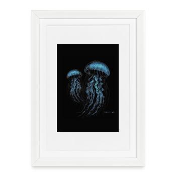 Quallen - Méduses - Affiche encadrée (27 × 37 cm) - blanc - Devant