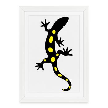 Salamandre Lézard Salamandre Gecko Feu - Affiche encadrée (27 × 37 cm) - blanc - Devant