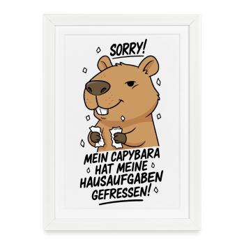 Pardon! Capybara a mangé mes devoirs - Affiche encadrée (27 × 37 cm) - blanc - Devant