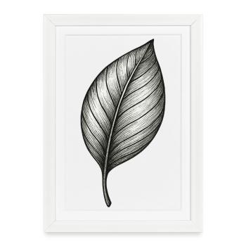 Ligne fine de feuilles noire et blanche naturelle - Affiche encadrée (27 × 37 cm) - blanc - Devant