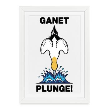 Gannet Loon Sea Plunge Gannet - Framed poster (27 × 37 cm) - white - Front
