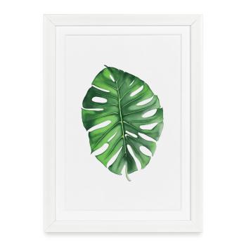 Monstera - Affiche encadrée (27 × 37 cm) - blanc - Devant
