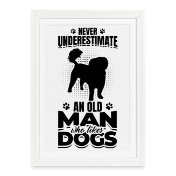 Grand-père chien - Affiche encadrée (27 × 37 cm) - blanc - Devant