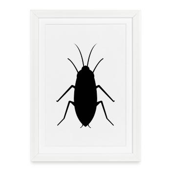 cockroach - Framed poster (27 × 37 cm) - white - Front