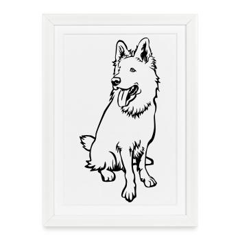 Swiss Shepherd - Framed poster (27 × 37 cm) - white - Front