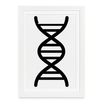 ADN - Affiche encadrée (27 × 37 cm) - blanc - Devant