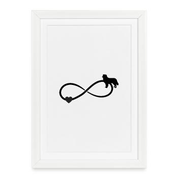 Australian Shepherd Heart Infinity - Framed poster (27 × 37 cm) - white - Front