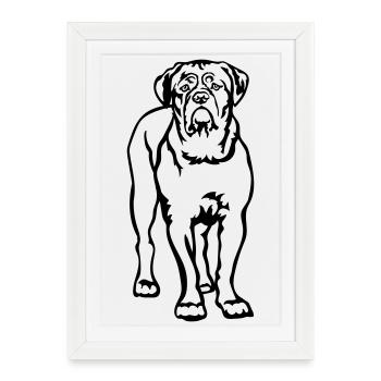 Dogue de Bordeaux - Affiche encadrée (27 × 37 cm) - blanc - Devant