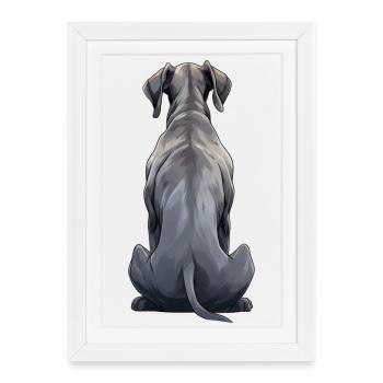 Dogue allemand - Affiche encadrée (27 × 37 cm) - blanc - Devant