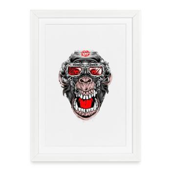 Crazy Monkey - Affiche encadrée (27 × 37 cm) - blanc - Devant