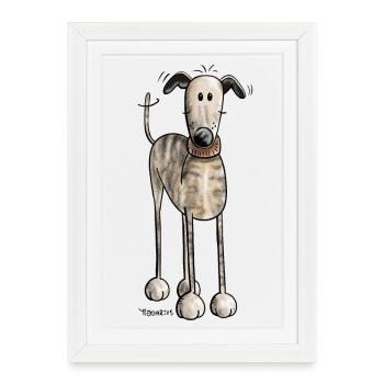 Galgo Espanol - Hund - Greyhound - Windhund - Gerahmtes Poster (27 × 37 cm) - Weiß - Vorne
