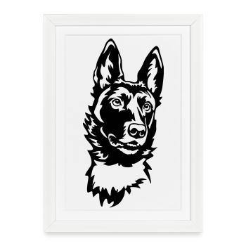 Malinoi's head - Framed poster (27 × 37 cm) - white - Front