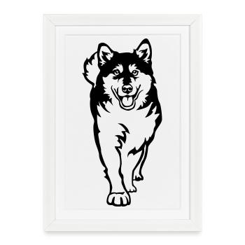 Malamute d’Alaska - Affiche encadrée (27 × 37 cm) - blanc - Devant