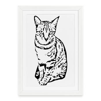 Chat Chaton Tigre Chat Chat Chat Cadeau - Affiche encadrée (27 × 37 cm) - blanc - Devant