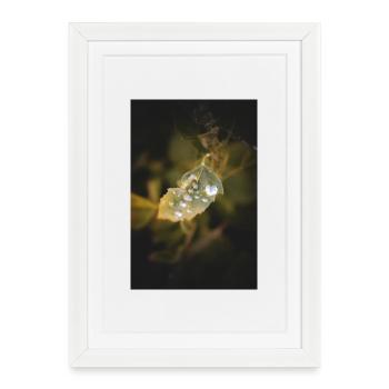 Gouttes d’eau de feuille - Affiche encadrée (27 × 37 cm) - blanc - Devant