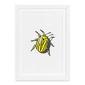 Potato beetle - Framed poster (27 × 37 cm) - white - Front