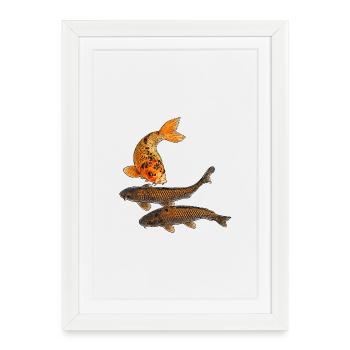 Koi fish in the pond - Framed poster (27 × 37 cm) - white - Front