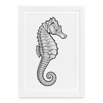 Hippocampe - Affiche encadrée (27 × 37 cm) - blanc - Devant