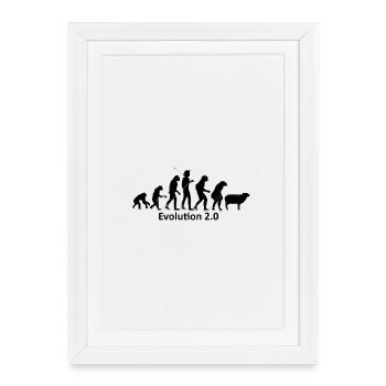 L’évolution humaine en silhouette - Affiche encadrée (27 × 37 cm) - blanc - Devant