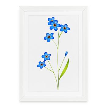 délicat oubliez-moi-pas en bleu classique - Affiche encadrée (27 × 37 cm) - blanc - Devant