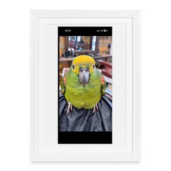 Green Parrot Head – Neon Yellow Accent - Framed poster (27 × 37 cm) - white - Front