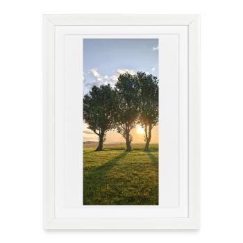 Sonnenaufgang Baumreihe in Schweden - Gerahmtes Poster (27 × 37 cm) - Weiß - Vorne