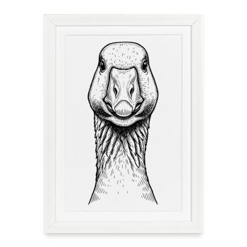 Oie - Affiche encadrée (27 × 37 cm) - blanc - Devant
