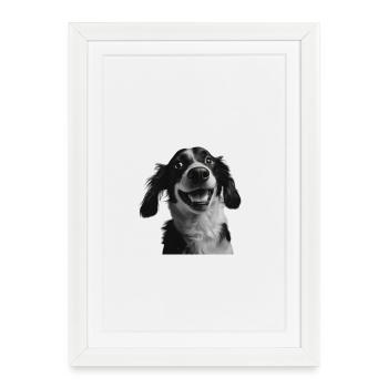 Border Collie Cheer Smile - Framed poster (27 × 37 cm) - white - Front