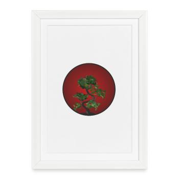 Bonsai - Gerahmtes Poster (27 × 37 cm) - Weiß - Vorne