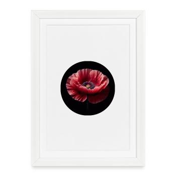 Poppy photoréaliste - Affiche encadrée (27 × 37 cm) - blanc - Devant