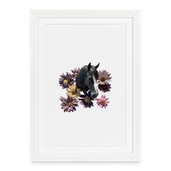 Fleur de tête de cheval - Affiche encadrée (27 × 37 cm) - blanc - Devant
