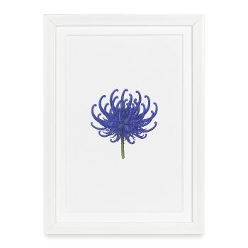 Illustration élégante de chrysanthème bleu - Affiche encadrée (27 × 37 cm) - blanc - Devant