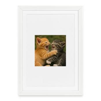 Cousins chats sauvages au combat - Affiche encadrée (27 × 37 cm) - blanc - Devant