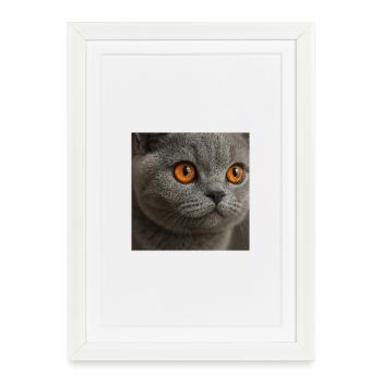 Detailed cat eye design - Framed poster (27 × 37 cm) - white - Front