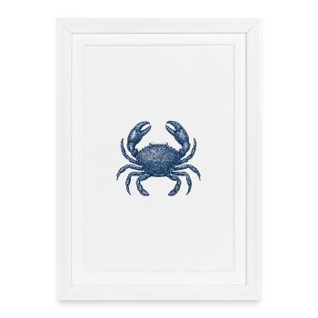 Illustration détaillée du crabe bleu - Affiche encadrée (27 × 37 cm) - blanc - Devant