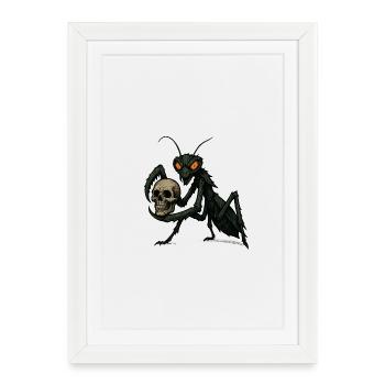mante religieuse - Affiche encadrée (27 × 37 cm) - blanc - Devant