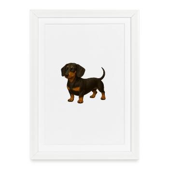 Teckel - Affiche encadrée (27 × 37 cm) - blanc - Devant