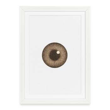 Brown Iris Closeup - Framed poster (27 × 37 cm) - white - Front