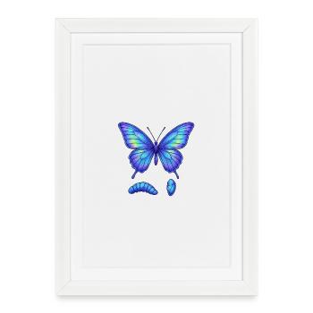 Papillon dégradé bleu - Affiche encadrée (27 × 37 cm) - blanc - Devant