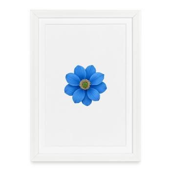 Motif étoile fleur bleu cobalt - Affiche encadrée (27 × 37 cm) - blanc - Devant