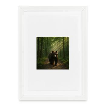 Rayons de soleil Ours dans la forêt - Affiche encadrée (27 × 37 cm) - blanc - Devant