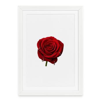Red Rose with Piercings - Framed poster (27 × 37 cm) - white - Front
