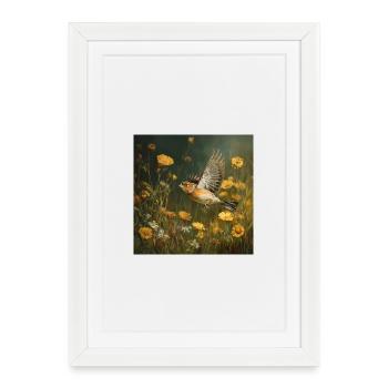 Chaffinch in a sea of flowers Flight through the summer day - Framed poster (27 × 37 cm) - white - Front