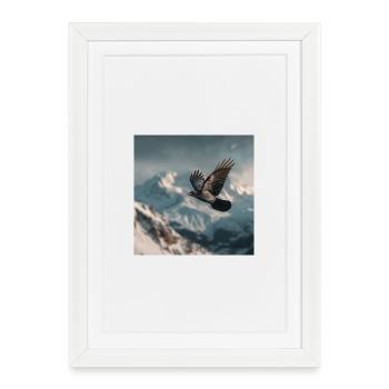 Raven above the snowy peaks Alpine crow - Framed poster (27 × 37 cm) - white - Front
