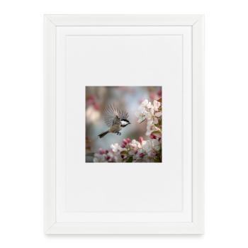 Vol dans la magie des fleurs – Matin de printemps - Affiche encadrée (27 × 37 cm) - blanc - Devant